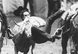 Image result for Slate Blue 1972 Roper