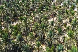 آيا امكان تغيير مدل خودرو در زمان صدور دعوتنامه امكان پذير مي باشد ؟ فرض براين است كه خودروهاي دعوتنامه براساس نوع خودروي ثبت نامي (در هنگام عقد قراداد) باشد. Ø¥Ù…ÙƒØ§Ù† Ø§Ù„Ø¹Ù‚Ø§Ø±ÙŠØ©