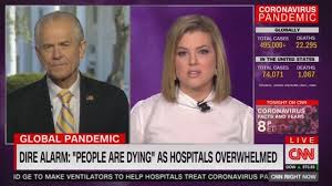Cnn host brianna keilar cut off mcenany's conference, as she claimed the white house press secretary was 'lying'credit: Cnn Anchor Brianna Keilar Shreds Peter Navarro Over Coronavirus Response