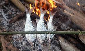 —margee berry, white salmon, washington. How To Cook Fish On A Campfire Campermate