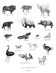 Extinct Animals Bundle Chickie Roo Homeschool Extinct Animals Animals Javan Rhinoceros