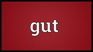 Meaning of gutted in english. Gut Meaning Youtube