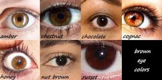 Nightrizer Eye Color Chart Eye Color Green Eyes