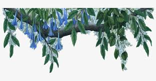 Maybe you would like to learn more about one of these? Blue Flowers Jungle 37 Cool Wallpaper Blue Flower Border Transparent Transparent Png 800x600 Free Download On Nicepng