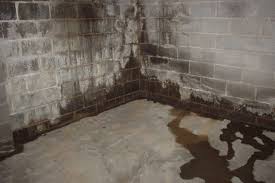 Leaking water can cause serious damage to your home. Water Proofing Basement Basement Waterproofing Costs