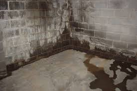 I painted the concrete walls w/ that dryloc waterproofing paint before i put up my 2 x 4 walls. Water Proofing Basement Basement Waterproofing Costs