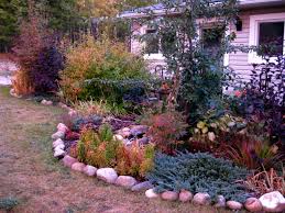 Establishing plants of similar height and which thrive in the same soil conditions helps disorient insect pests eager for a large crop of a particular plant. Stars Of The Fall Garden Random Housewifery