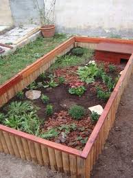 Info Pour Parc Exterieur Svp Tortoise Enclosure Turtle Enclosure Tortoise Habitat