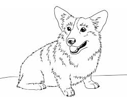 animals coloring pages free printable coloring pages at coloringonly com