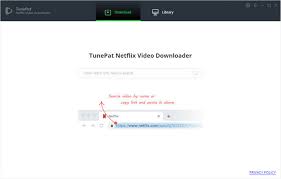 In simple words netflix provides you movies, shows, web series over the internet on a website or a those saved or downloaded movies can only be viewed from your mobile device which is connected to well duh? How To Download Netflix Videos From The Web Browser Tunepat
