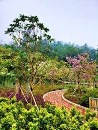 ANDSCAPE ARCHITECTURE