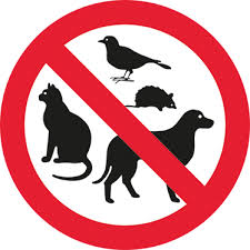 Adesivo Divieto Ingresso Animali Tenstickers