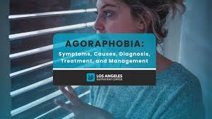 Image result for Agoraphobic Avoidance