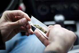 Tanaman semusim ini tingginya dapat mencapai 2 meter. Berbagai Efek Ganja Bagi Kesehatan Tubuh Alodokter