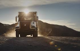 Image result for Medium Brown 2021 Fleet