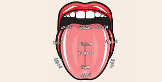يطلق مصطلح الرقيق الأبيض على استغلال الإناث واسترقاقهن جنسياً، وهو أمرٌ محرّم دوليّاً. Ø®Ø±ÙŠØ·Ø© Ø§Ù„Ù„Ø³Ø§Ù† ØªÙƒØ´Ù Ø§Ù„ÙƒØ«ÙŠØ± Ù…Ù† Ø§Ù„Ø£Ù…Ø±Ø§Ø¶