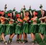 Hawaiian hula Dancers Luau'S- Drums of Tahiti Polynesian review from alohahulashow.com