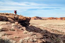 However, rvers can choose from a. Painted Desert Camping Guide Camping In Petrified Forest National Park
