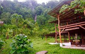 Some of the more popular amenities offered include free. Buenaventura Costa Rica Eco Adventure Rainforest Retreat Home Facebook