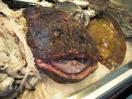 I will give you simple recipe to make baked monkfish for my husband. The Ultimate Guide To Monkfish Nomlist