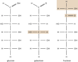 We did not find results for: Organic Molecules Microbiology