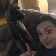 Belgian Malinois looking for a loving home