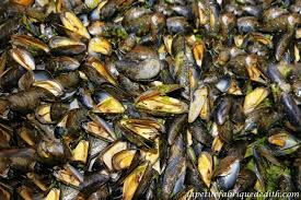 Moules Au Beurre D Ail Beurre A L Ail Moules Beurre