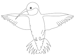 See more ideas about step by step painting, painting templates, canvas painting. Printable Hummingbird Coloring Page For Both Aldults And Kids