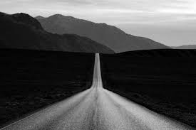 Black And White Road Black White Highway Journey Photography The Road Black And White Landscape Black And White Photography Insect Photography
