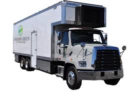 Image result for Bright Green 2018 Fleet