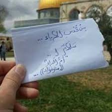 تعد بذور الريحان الخيار الجديد لعشاق الأطعمة الخالية من الغلوتين حيث يتم استخدامها كعنصر رئيسي لإعداد الكوكتيلات والمشروبات، كما تم استخدامها أيضا في الطب الهندي القديم لعلاج. ÙØ§Ø²Ø§Ø±Ø¹ Ø§ÙØ±ÙØ­Ø§Ù Ø­ÙÙ Ø®ÙØ§ÙÙØ§ ÙØ§ØªØ²Ø±Ø¹ Ø§ÙØ±ÙØ­Ø§Ù ÙØ³Øª Ù ÙÙÙ By Manar Fouad