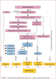 Acute Bronchitis Acute Bronchitis Lower Respiratory Tract Infection Bronchitis