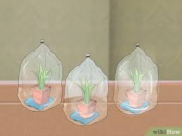 We did not find results for: Ø±ÙŠ Ø§Ù„Ù†Ø¨Ø§ØªØ§Øª ÙˆØ£Ù†Øª Ù…Ø³Ø§ÙØ± Wikihow