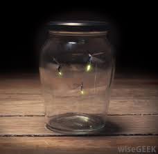 What Are Lightning Bugs With Pictures
