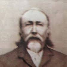 Does anyone out there know a reliable person to cut big tree limbs