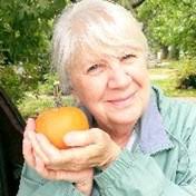 Stroh Family Obituaries