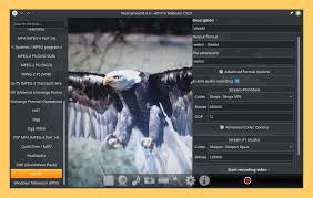 Bblivecams is an 18+ adult entertainment social platform with live action fun. 7 Free Universal Webcam Software For Video Calls