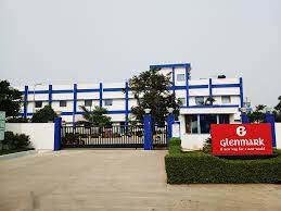 The manufacturer of active pharmaceutical ingredients (apis) opened the ipo on 27 july and closed it on the third day, ie, 29 july. Glenmark Pharmaceuticals Ipo Glenmark Life Sciences Ipo May Ride The Api Wave Challenges Scaling Up And Sustaining Growth The Economic Times