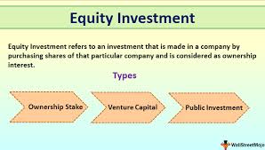 Equity Investment Meaning Definition Examples Of Equity Investment