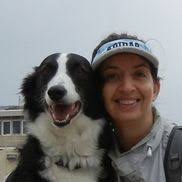 Dog Trainer Businesses in Los Angeles, CA