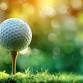 Big Rapids Lions Club 5th Annual Golf Outing