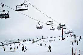 Drive your car to mansfield and book the bus to mt buller. Mount Buller Snow Ski Day Tour Day Dreaming Australia