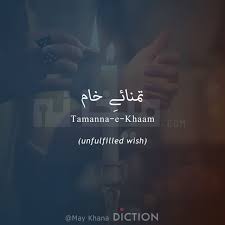 Tamanna E Khaam Means Maykhanadiction Maykhana Urdu Words With Meaning Hindi Words Unusual Words