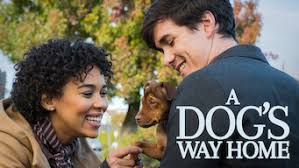 It's available to watch on tv, online, tablets, phone. Is A Dog S Way Home 2019 On Netflix Germany