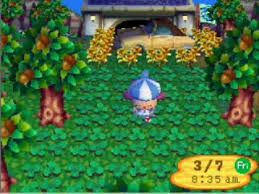 They can be eaten in all games and are sometimes requested by villagers. Seed Hacking Animal Crossing Wiki Fandom