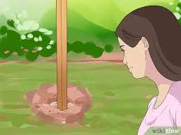 We did not find results for: How To Remove Fence Posts With Pictures Wikihow