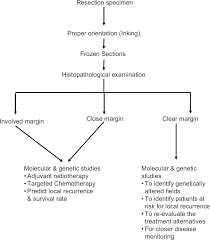 During or after surgery, a pathologist examines this rim of tissue — called the surgical margin or margin of resection — to be sure it's clear of any cancer cells. A Comprehensive Review Of Surgical Margin In Oral Squamous Cell Carcinoma Highlighting The Significance Of Tumor Free Surgical Margins Kamat M Rai Bd Puranik Rs Datar Uv J Can Res Ther