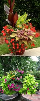 24 Stunning Container Garden Planting Ideas In 2020 Container Garden Design Garden Containers Plants
