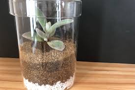 初心者でもできるテラリウムの作り方。100均グッズで簡単！ 部屋もおしゃれに｜LIFE LIST - 好きな街・住みたい街・私の街