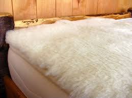 Wool Mattress Topper Sheep Fleece Pure Eco Holy Lamb Organics Gots Green Usa Holylamborganics Wool Mattress Mattress Topper Organic Mattresses